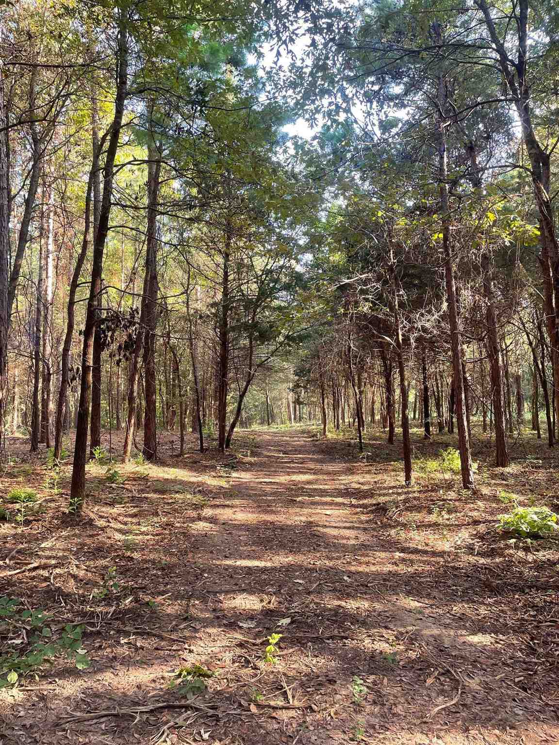 Unimproved acreage for sale in Powderly || $397,100