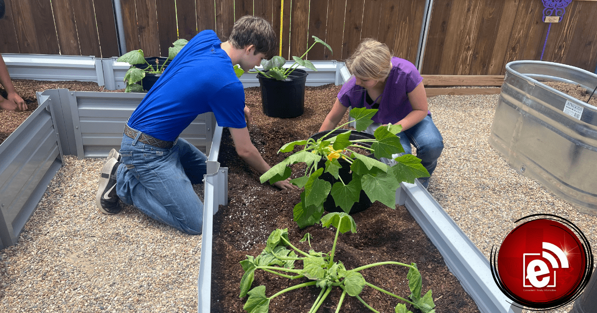 Detroit community garden