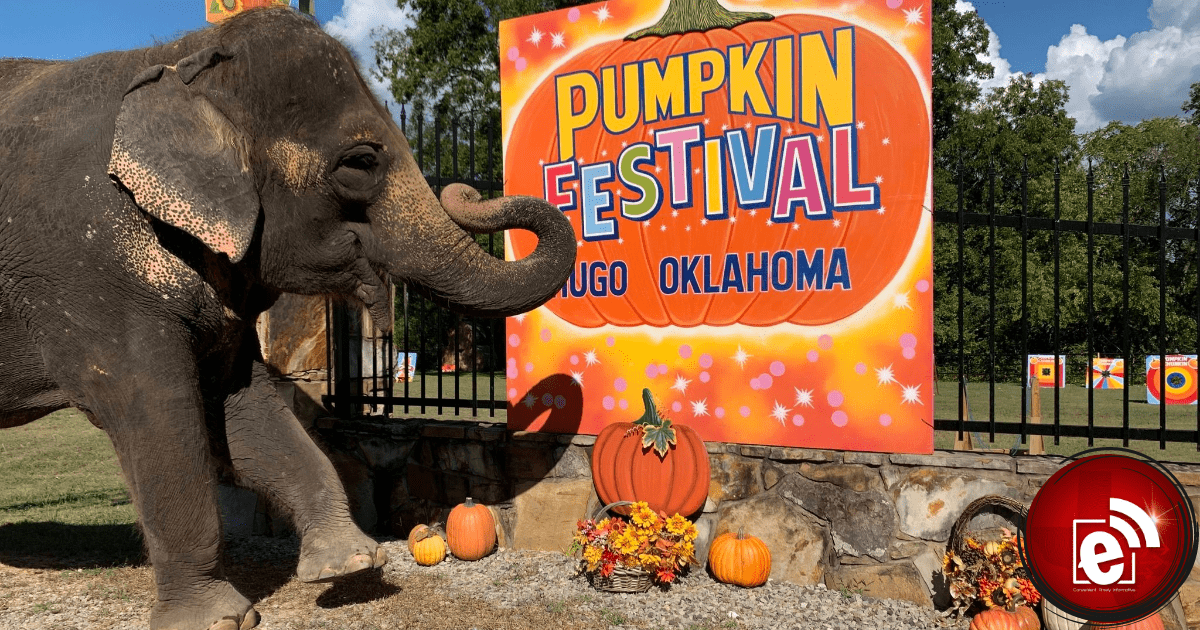 Hugo Pumpkin Festival