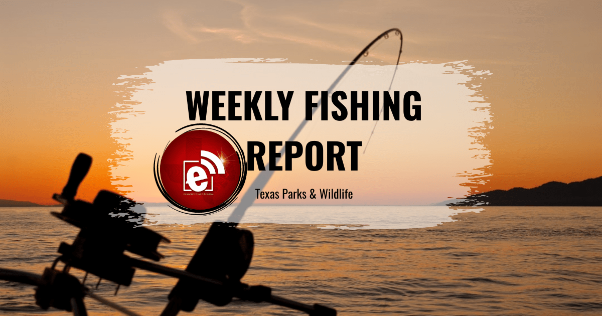 fishing report