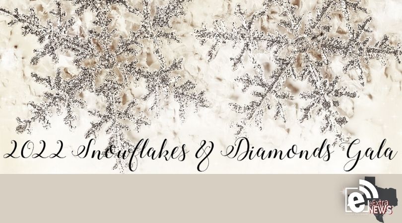 snowflakes and diamonds gala 2022