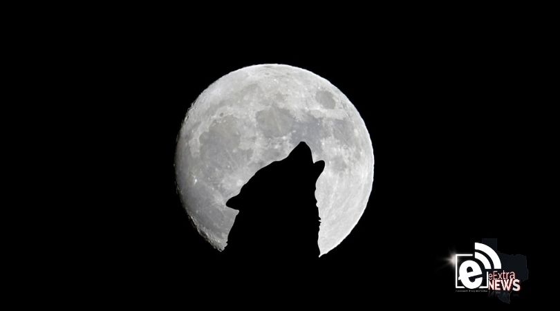 wolf moon